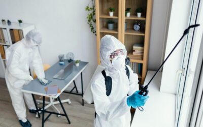 Understanding the Essentials of Pest Control: What You Need to Know